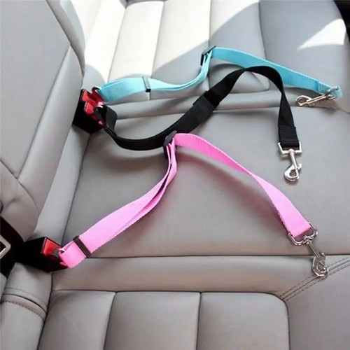 Dog car seat belt safety - dog,