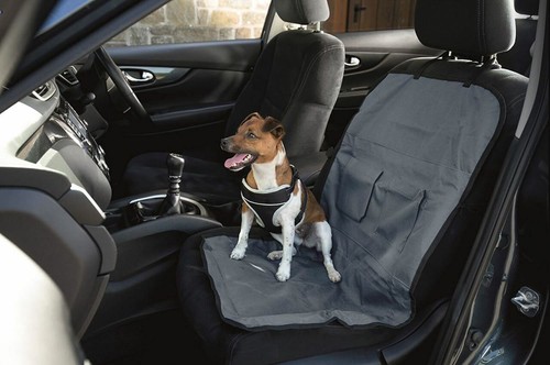 Durable single car - car, cover