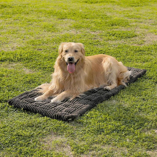 Dog car seat cover - for, back