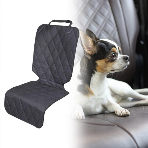 Generic front dog - front,