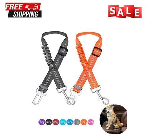 Anti shock dog - dog, belt